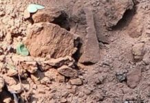 *नगरी क्षेत्र मे नक्सलीयों ने किया बम ब्लास्ट ,चुनाव के एक दिन पहले किया बड़ा धमाका *,,,,,,,,,,,,,,,*धमतरी,चुनेश साहू की रिपोर्ट*