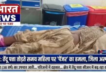 बीजापुर : तेंदू पत्ता तोड़ते समय महिला पर ‘पेंजर’ सांप का हमला,जिला अस्पताल किया गया रेफर