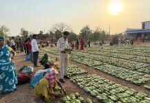 बस्तर में तेंदूपत्ता खरीदी ने पकड़ी रफ्तार,अब तक 10,704 मानक बोरा से अधिक खरीदी पूरी