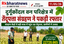 दुर्गूकोंदल वन परिक्षेत्र में तेंदूपत्ता संग्रहण ने पकड़ी रफ्तार पुरे ब्लाक में 22728.665 पत्ता संग्रह किया गया है जो आज दिनांक 11/05/26 को दर्शाता है।संग्रहण केंद्रों में बड़ी मात्रा में पहुंच रहा तेंदूपत्ता, ग्रामीणों में उत्साह।