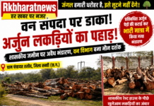 हर खबर पर नजर….शासकीय जमीन पर अर्जुन पेड़ों का अवैध भंडारण! रेस्ट हाउस के पीछे लकड़ियों का अंबार, वन विभाग की चुप्पी पर उठे गंभीर सवाल।आर एल कुलदीप की विषेश खबर:-