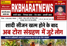 हरा सोना, व शादी सीजन खत्म होने के बाद अब टोरा संग्रहण में जुटे लोग।